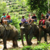 Discounted Admission Tickets - Image 4