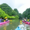 Canoeing in the mangrove forest, Krabi - Image 4