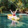 Canoeing in the mangrove forest, Krabi - Image 7
