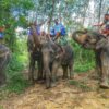 Rafting Activities - Image 5