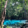 Krabi Jungle Tour Adventure Package - Image 10